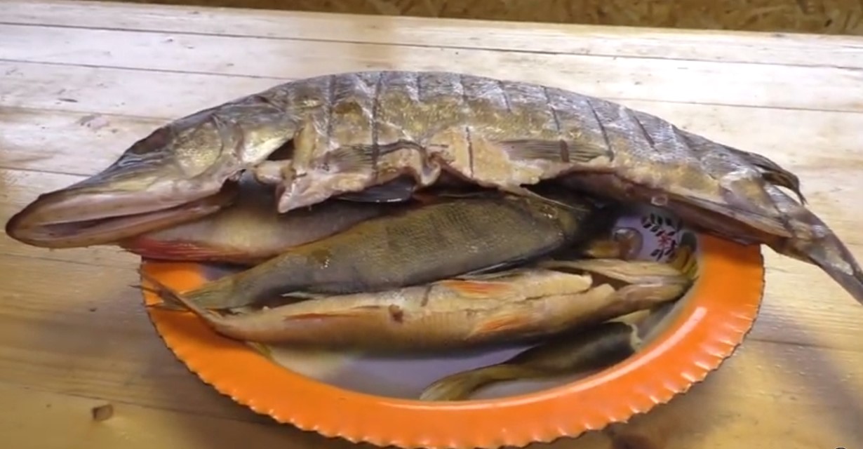Рыба горячего копчения в коптильне из бочки 