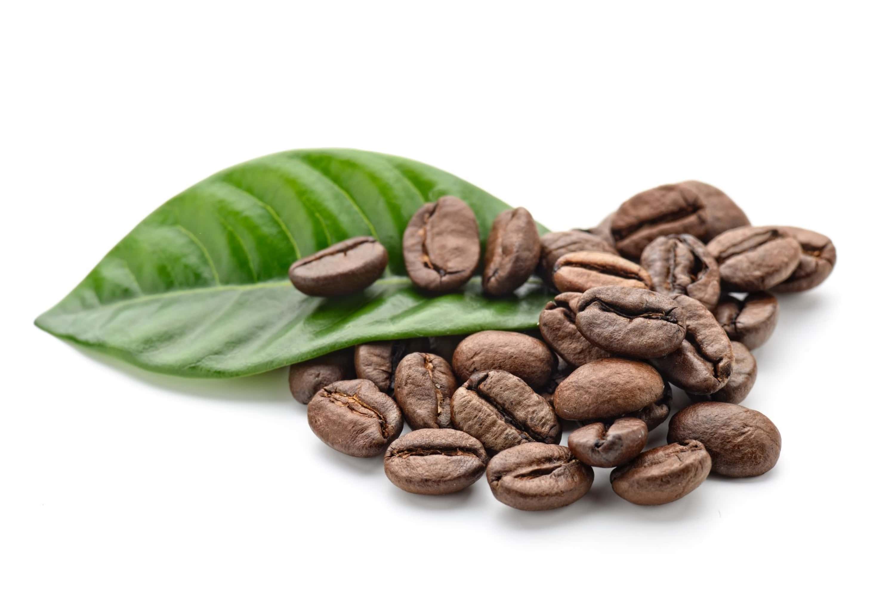 Кофеин натуральный. Green Coffee Beans Arabica. Кофе в зернах. Зернышко кофе. Кофейные зерна на белом фоне.